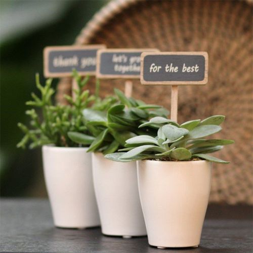 Mini plante - Billede 4